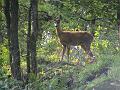 Natur 0211